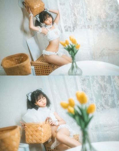 丛林奇航免费观看完整版在线播放