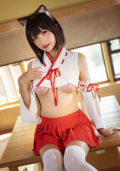 完美奇遇电影免费完整版在线观看