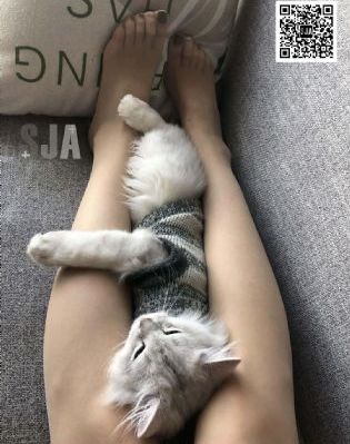 诱人的保姆4韩国电影