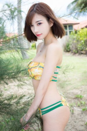 疯狂动物城 中文版