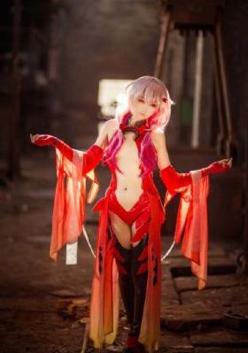 二十条免费观看全集完整版