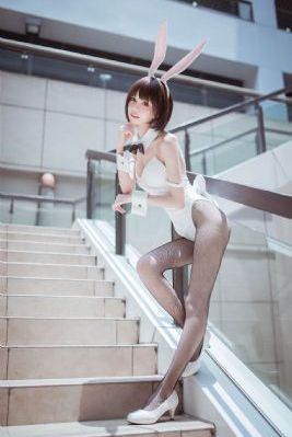 成人猫咪