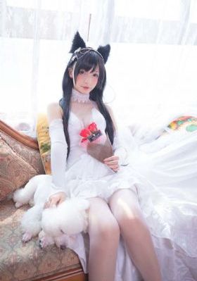 泰迦奥特曼